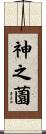 神之薗 Scroll