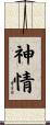 神情 Scroll