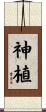 神植 Scroll
