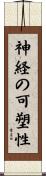 神経の可塑性 Scroll