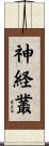 神経叢 Scroll