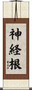 神経根 Scroll