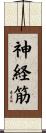 神経筋 Scroll