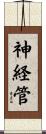 神経管 Scroll