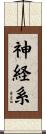 神経系 Scroll