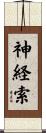 神経索 Scroll
