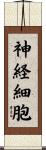 神経細胞 Scroll