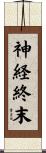 神経終末 Scroll