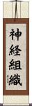 神経組織 Scroll