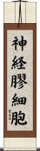 神経膠細胞 Scroll