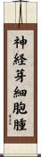 神経芽細胞腫 Scroll