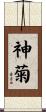 神菊 Scroll