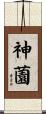 神薗 Scroll