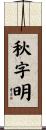 秋字明 Scroll