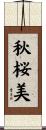秋桜美 Scroll