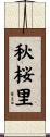秋桜里 Scroll