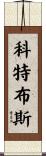 科特布斯 Scroll