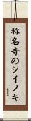 称名寺のシイノキ Scroll