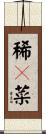 稀々菜 Scroll