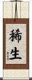 稀生 Scroll