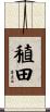 稙田 Scroll