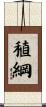 稙綱 Scroll