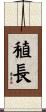 稙長 Scroll
