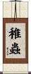 稚蟲 Scroll