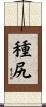 種尻 Scroll
