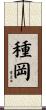 種岡 Scroll