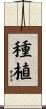 Plant / Grow / Cultivate Scroll
