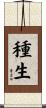 種生 Scroll