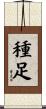 種足 Scroll