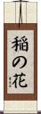 稲の花 Scroll