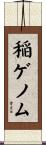 稲ゲノム Scroll