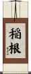 稲根 Scroll