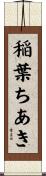 稲葉ちあき Scroll