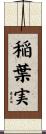 稲葉実 Scroll