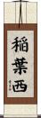 稲葉西 Scroll