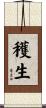 穫生 Scroll