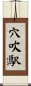 穴吹駅 Scroll