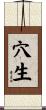 穴生 Scroll