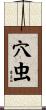 穴虫 Scroll