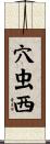 穴虫西 Scroll