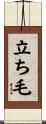 立ち毛 Scroll