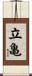 立亀 Scroll