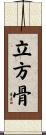 立方骨 Scroll