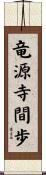 竜源寺間歩 Scroll