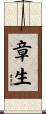 章生 Scroll