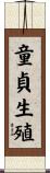 童貞生殖 Scroll